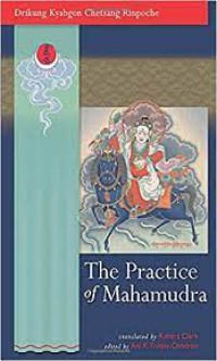 Image of The Practice Of Mahamudra : The Teachings Of His Houness