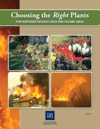 Choosing The Right Plants For Northern Nevada's High Fire Hazard Areas