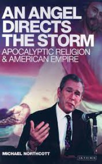Angel Directs the Storm : Apocalyptic Religion and American Empire.