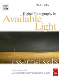 Image of Digital Photography In Available Light : Essential Skills