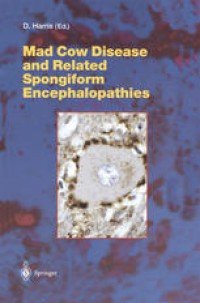 Image of Mad Cow Disease and Related Spongiform Encephalopathies