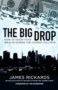 Image of The Big Drop : How To Grow Your Wealth During The Coming Collapse