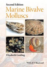 Image of Marine Bivalve Molluscs
