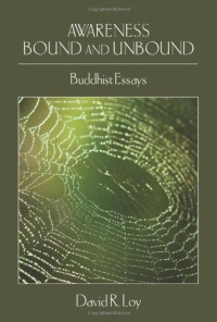 Image of Awareness Bound and Unbound : Buddhist Essays