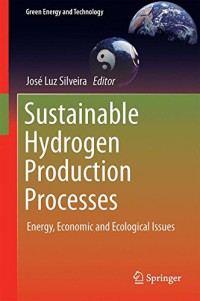 Image of Sustainable Hydrogen Production Processes : Energy, Economic and Ecological Issues