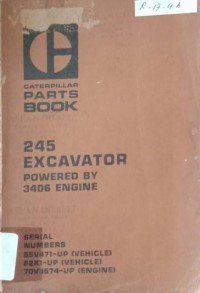 Image of 245 Excavator Powered By 3406 Engine