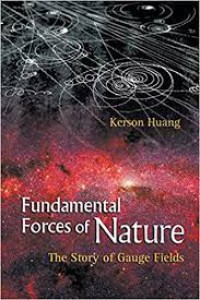Image of Fundamental Forces Of Nature : the story of gauge fields