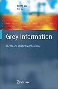 Image of Grey Information Theory and Practical Applications