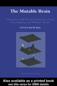 Image of Mutable Brain Dynamic and Plastic Features of the Developing and Mature Brain