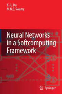 Image of Neural Networks in a Softcomputing Framework
