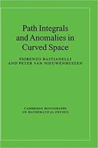 Image of Path Integrals and Anomalies in Curved Space