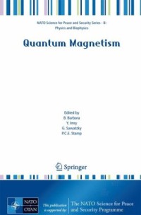 Image of Quantum Magnetism