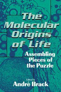 Image of The Molecular Origins of Life : Assembling Pieces of the Puzzle