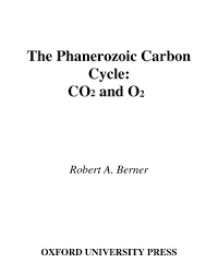 Image of The Phanerozoic Carbon Cycle : CO2 and O2