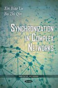 Image of Synchronization in Complex Networks
