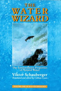 Image of The Water Wizard